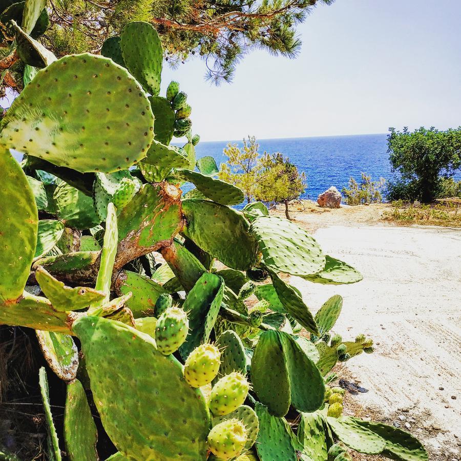 Euphoria - South Crete Villas Achlia Exterior photo